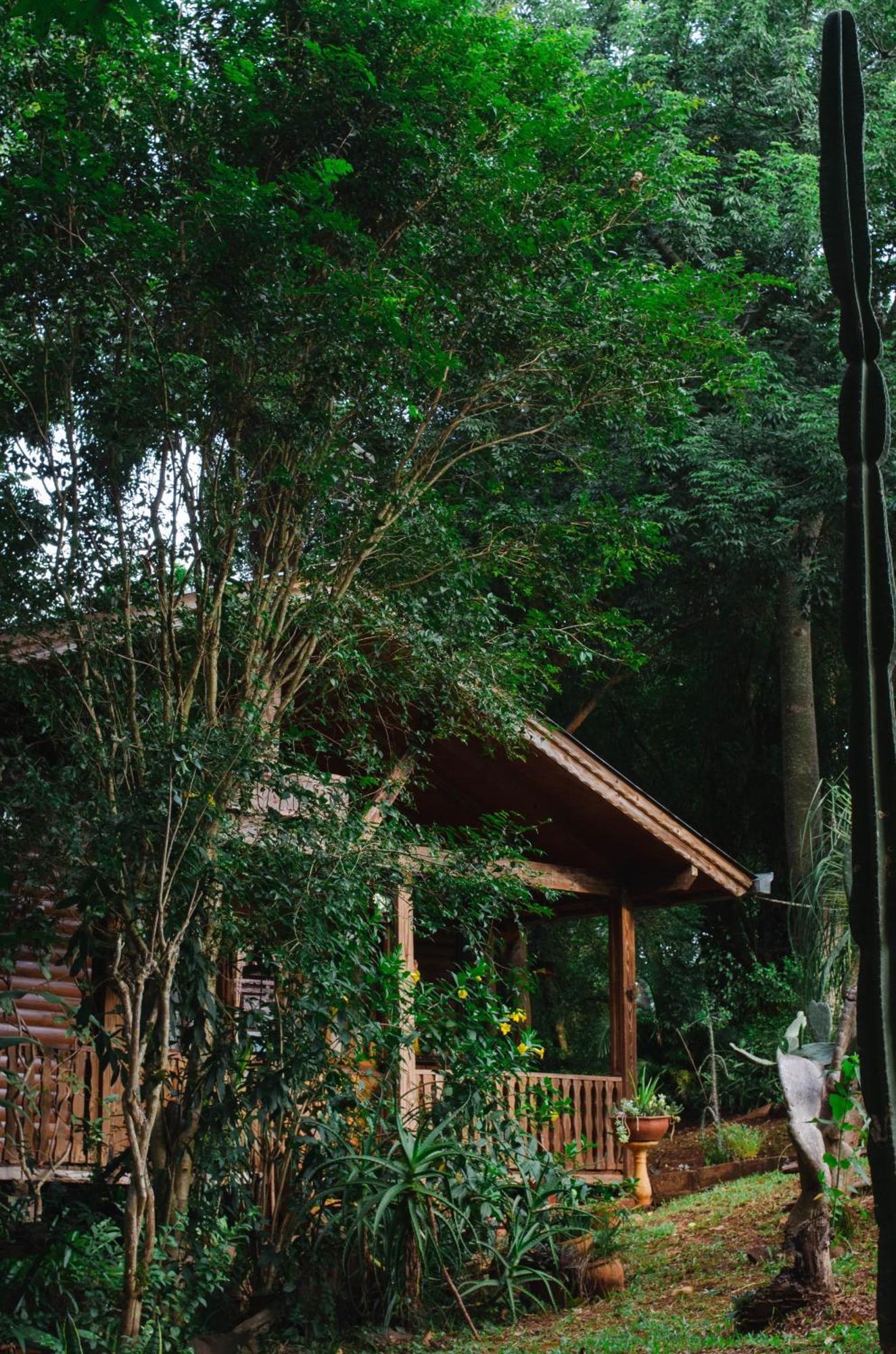 Canto De Pajaros Wanda Luaran gambar